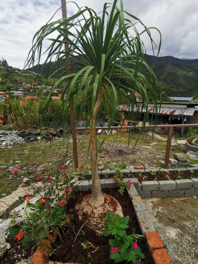 Dreamcatcher Homestay, Kundasang Ranau Exterior photo